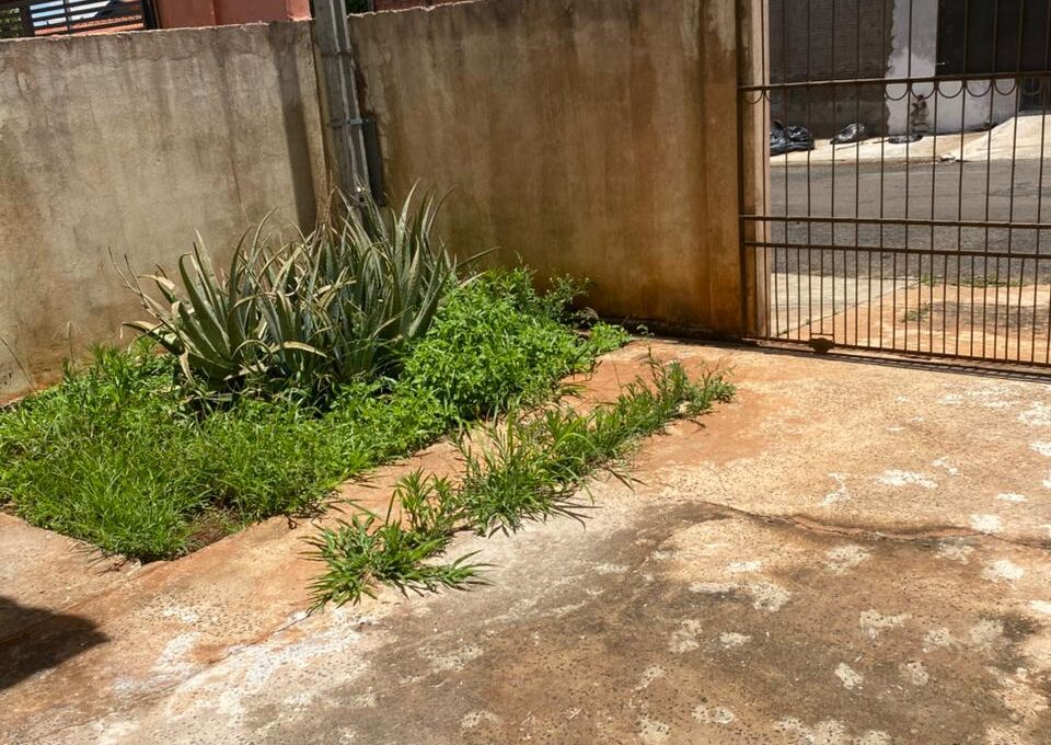 WhatsApp Image 2025-11-24 at 11.50.42 (1)