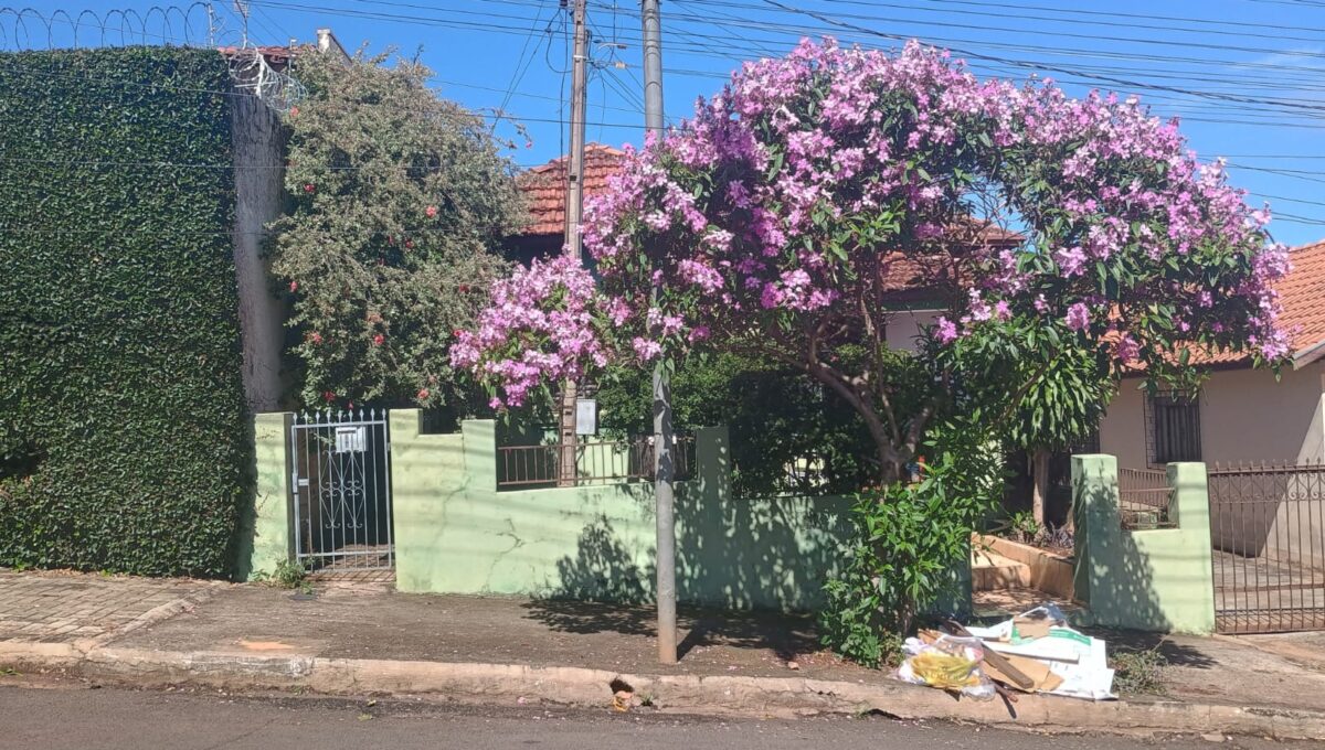 f582b80afc41b0d66e7f1d745f4d7ac6