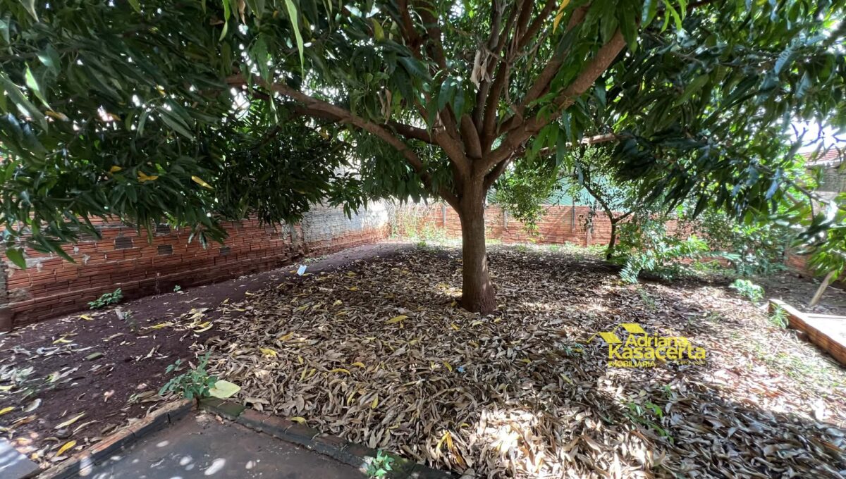 97882b8a-2e4d-49aa-9123-1c4fba60be68